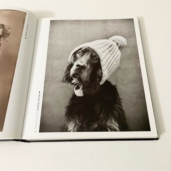 101 Salivations For The Love of Dogs Rachael Hale Book - Picture 9 of 16